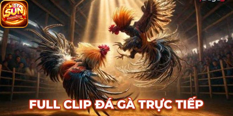 Hình ảnh rõ nét, góc quay đa dạng tạo cảm giác chân thực